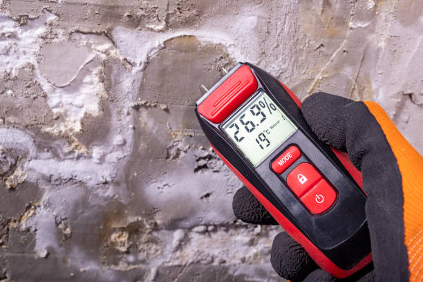 Best Health and Safety Mold Remediation in Aurora, MO