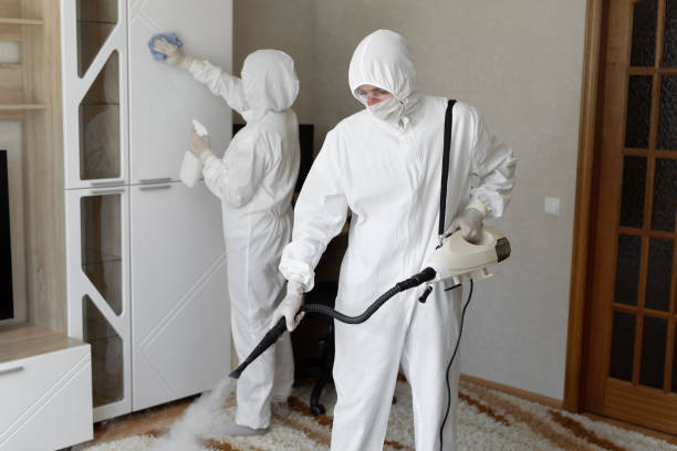 Best Residential Mold Remediation in Aurora, MO