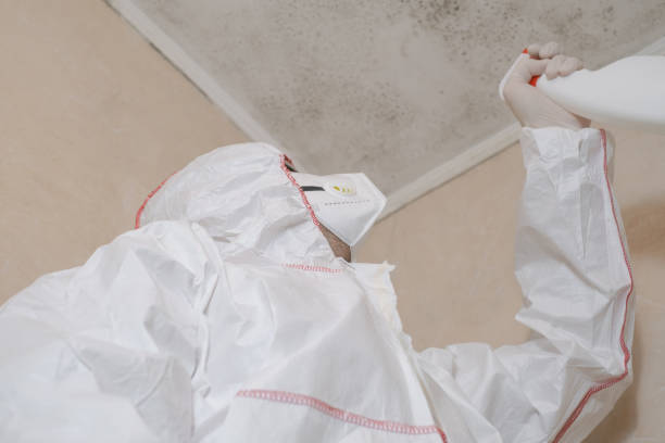 Best Crawl Space Mold Remediation in Aurora, MO