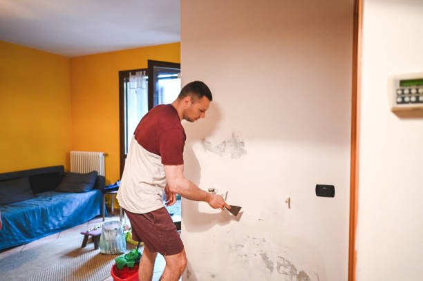Best Emergency Mold Remediation in Aurora, MO